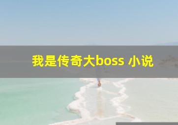 我是传奇大boss 小说